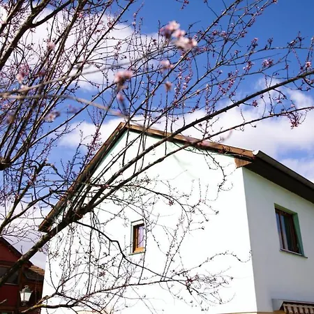 Au Petit Bonheur Apartament