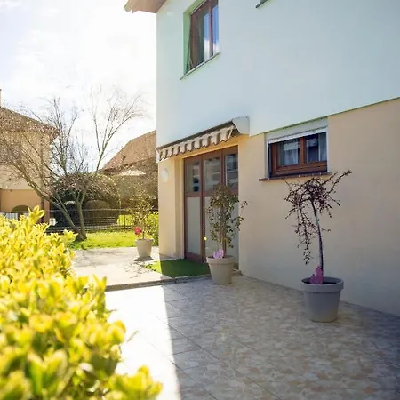Apartament Au Petit Bonheur Horbourg