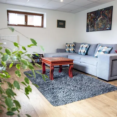 Apartament Au Petit Bonheur Horbourg
