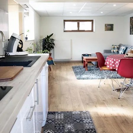 Apartament Au Petit Bonheur Horbourg
